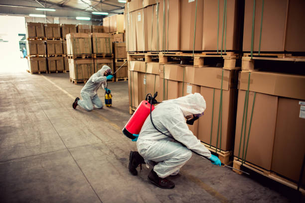 Best Best Pest Control Near Me  in Fifth Ward, LA