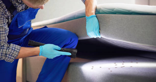 Best Affordable Pest Control Services  in Fifth Ward, LA